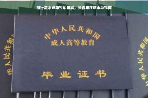 银行流水账单打印详解，步骤与注意事项指南