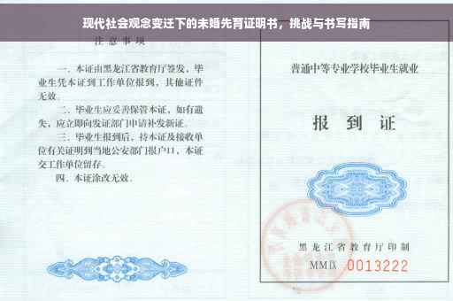 现代社会观念变迁下的未婚先育证明书，挑战与书写指南