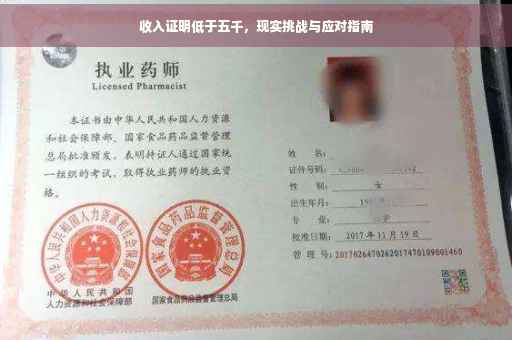 收入证明低于五千，现实挑战与应对指南