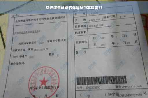 交通违章证明书详解及范本指南??