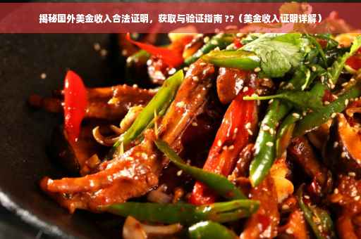 揭秘国外美金收入合法证明，获取与验证指南 ??（美金收入证明详解）