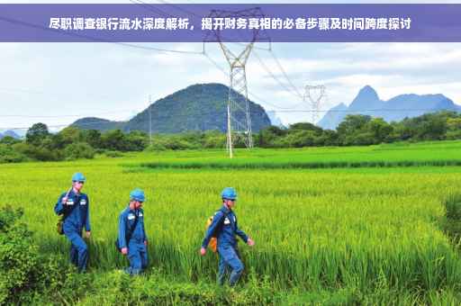 尽职调查银行流水深度解析，揭开财务真相的必备步骤及时间跨度探讨