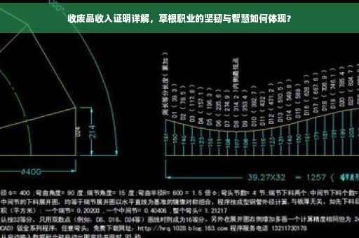 收废品收入证明详解，草根职业的坚韧与智慧如何体现？