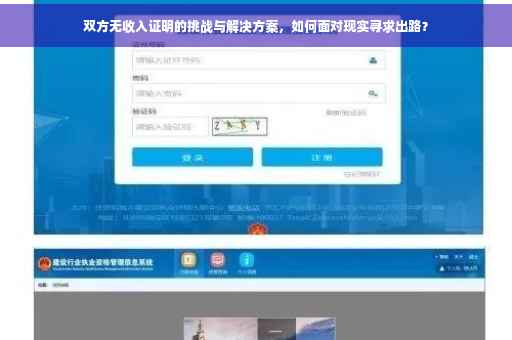 双方无收入证明的挑战与解决方案，如何面对现实寻求出路？