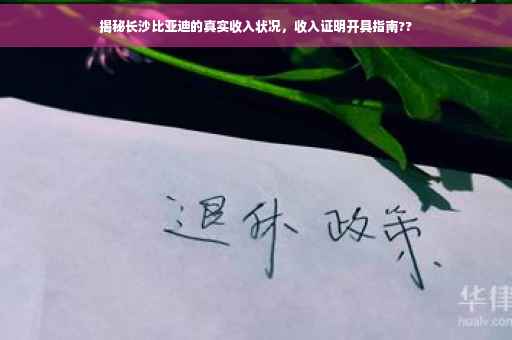 揭秘长沙比亚迪的真实收入状况，收入证明开具指南??