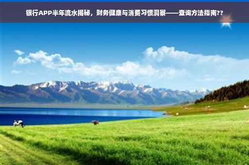银行APP半年流水揭秘，财务健康与消费习惯洞察——查询方法指南??