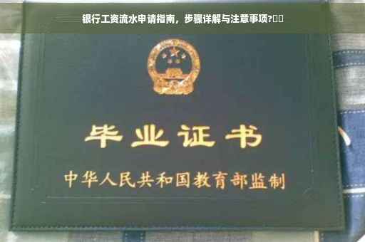 银行工资流水申请指南，步骤详解与注意事项?⚡️
