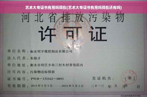 艺术大专证书有用吗现在(艺术大专证书有用吗现在还有吗)