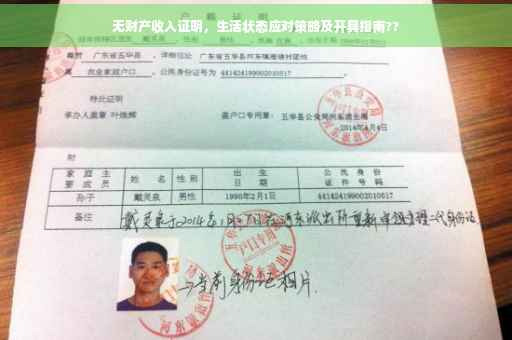 无财产收入证明，生活状态应对策略及开具指南??