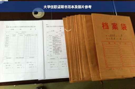 大学任职证明书范本及图片参考