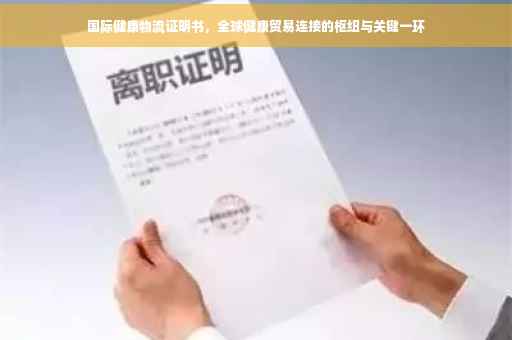 国际健康物流证明书，全球健康贸易连接的枢纽与关键一环