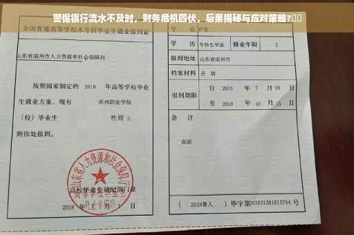 警惕银行流水不及时，财务危机四伏，后果揭秘与应对策略?⚡️