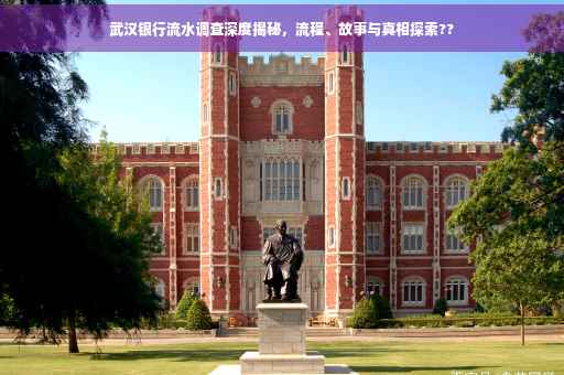 武汉银行流水调查深度揭秘，流程、故事与真相探索??