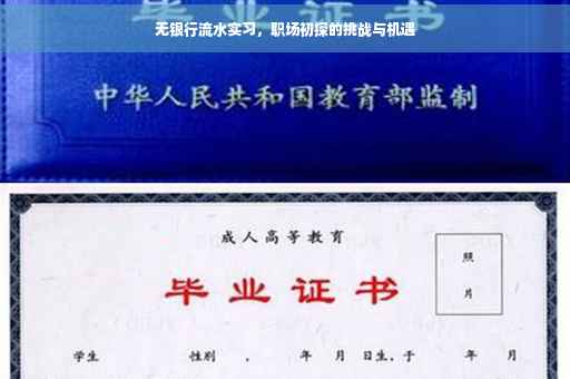 无银行流水实习，职场初探的挑战与机遇