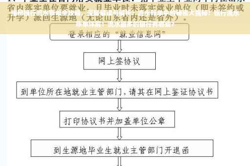 揭秘银行流水账单全攻略，深度解读与解析！流水账单中的秘密大揭秘！银行流水账单详解！流水最多的银行有哪些？
