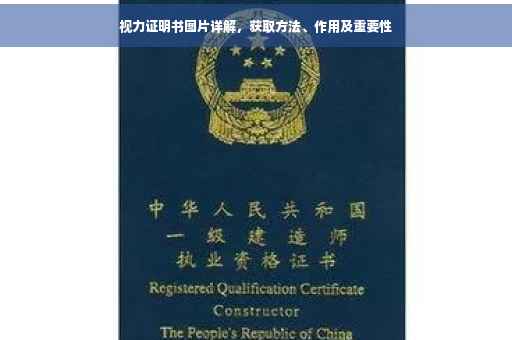 视力证明书图片详解，获取方法、作用及重要性