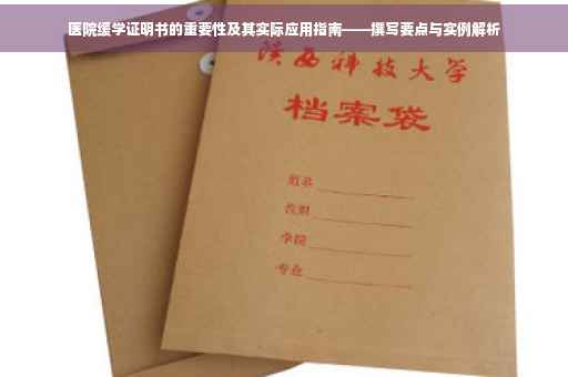 医院缓学证明书的重要性及其实际应用指南——撰写要点与实例解析