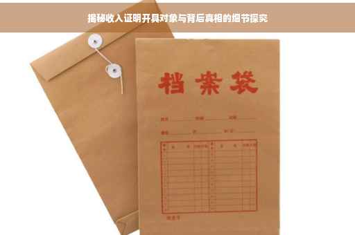 揭秘收入证明开具对象与背后真相的细节探究