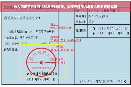 收入困境下的生存挑战与应对策略，揭秘经济压力与收入困难证明真相