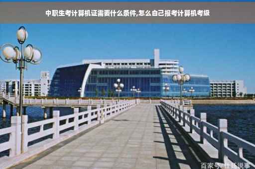 中职生考计算机证需要什么条件,怎么自己报考计算机考级