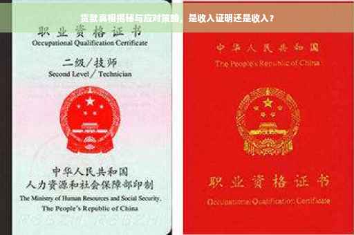 货款真相揭秘与应对策略，是收入证明还是收入？