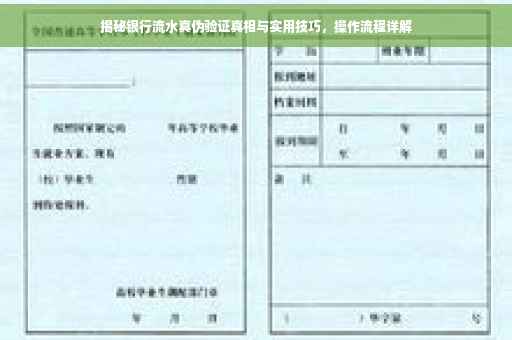揭秘银行流水真伪验证真相与实用技巧，操作流程详解