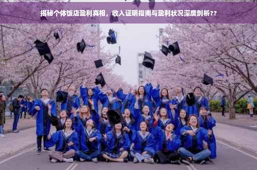 揭秘个体饭店盈利真相，收入证明指南与盈利状况深度剖析??