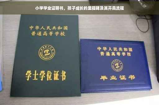 小学学业证明书，孩子成长的里程碑及其开具流程