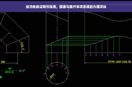 续开疾病证明书指南，健康与医疗事项及提前办理须知
