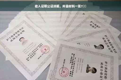 收入证明公证详解，所需材料一览?⚡️