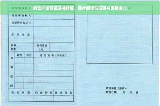 剖宫产诊断证明书详解，图片解读与证明书写指南?✨