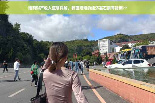 婚前财产收入证明详解，稳固婚姻的经济基石撰写指南??