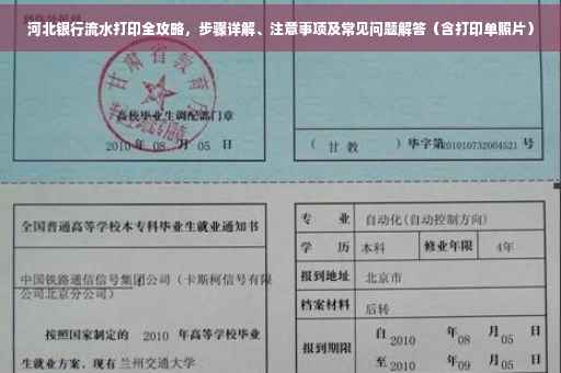 河北银行流水打印全攻略，步骤详解、注意事项及常见问题解答（含打印单照片）