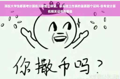 现在大学生都要考计算机三级或二级证，以后找工作真的需要那个证吗-非专业计算机相关证书有哪些
