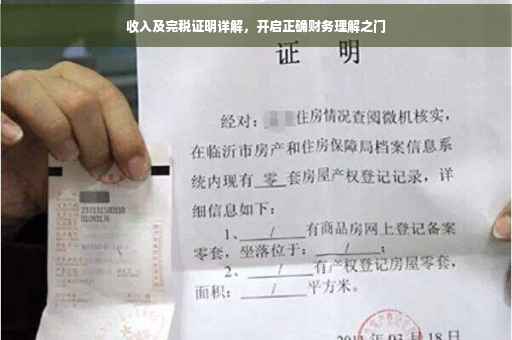 收入及完税证明详解，开启正确财务理解之门