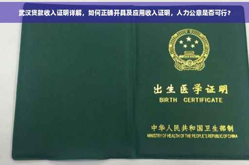 武汉贷款收入证明详解，如何正确开具及应用收入证明，人力公章是否可行？