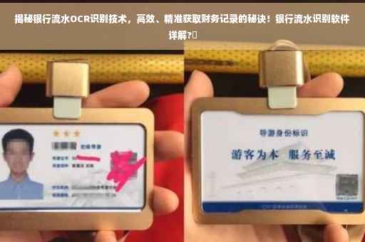 揭秘银行流水OCR识别技术，高效、精准获取财务记录的秘诀！银行流水识别软件详解?✨