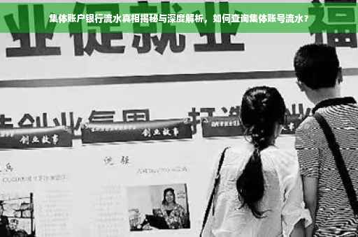 集体账户银行流水真相揭秘与深度解析，如何查询集体账号流水？