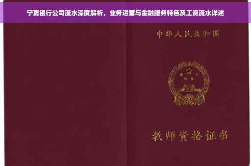 宁夏银行公司流水深度解析，业务运营与金融服务特色及工资流水详述
