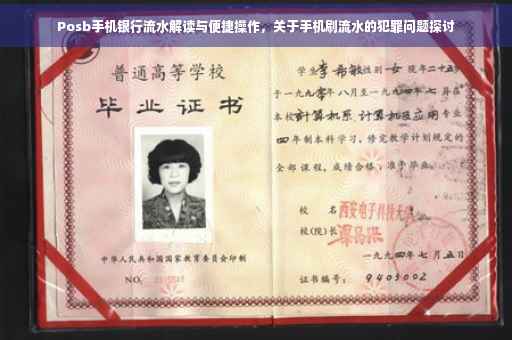 Posb手机银行流水解读与便捷操作，关于手机刷流水的犯罪问题探讨