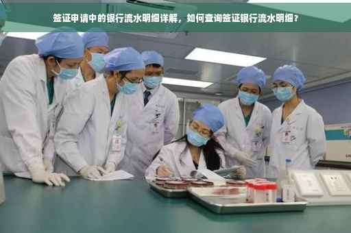 签证申请中的银行流水明细详解，如何查询签证银行流水明细？