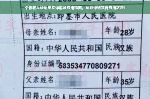 个体收入证明英文详解及应用指南，从翻译到实践应用之路！