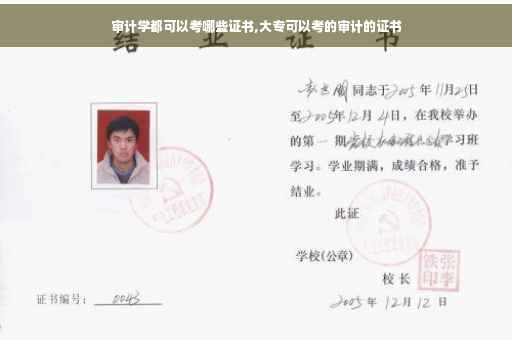 审计学都可以考哪些证书,大专可以考的审计的证书