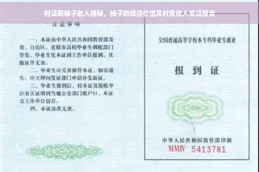 村证明柚子收入揭秘，柚子的经济价值及村民收入实证报告
