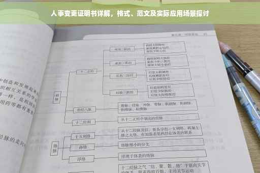 人事变更证明书详解，格式、范文及实际应用场景探讨