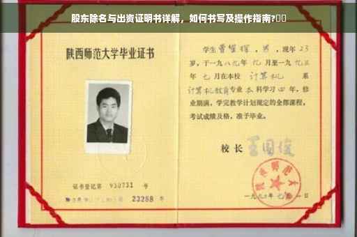 股东除名与出资证明书详解，如何书写及操作指南?⚡️