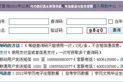 代办银行流水英语详解，专业解读与操作指南
