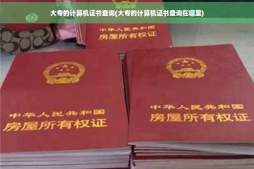 大专的计算机证书查询(大专的计算机证书查询在哪里)