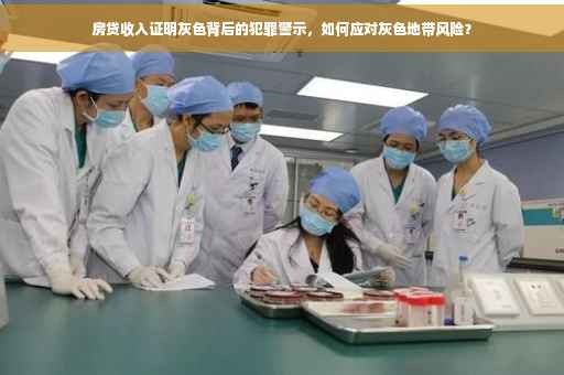 房贷收入证明灰色背后的犯罪警示，如何应对灰色地带风险？