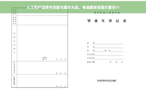 人工引产证明书详解与图片大全，专业解析及图片展示??